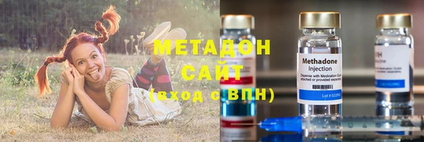 стаф Алексин