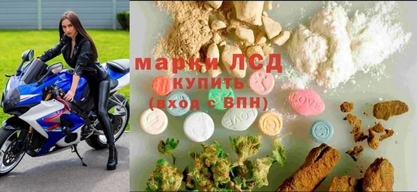 стаф Алексин
