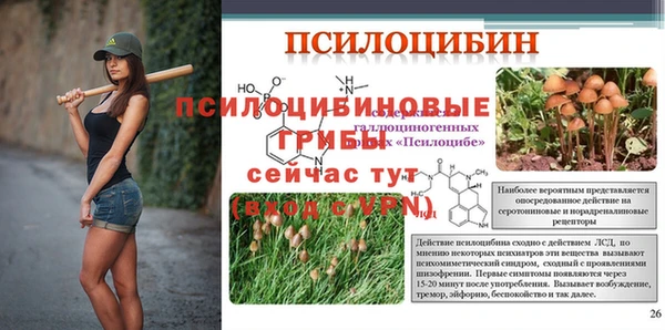 гашик Алексеевка