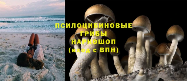 СК Алзамай