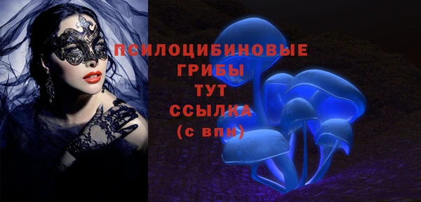 стаф Алексин