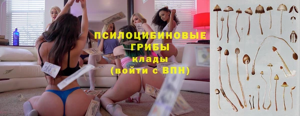 синтетический гашиш Няндома
