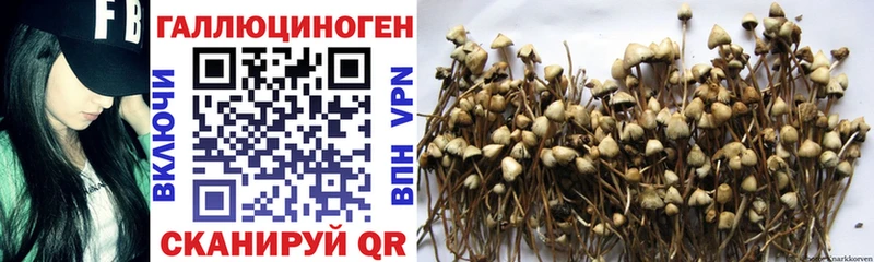 Галлюциногенные грибы прущие грибы  продажа наркотиков  omg ссылка  Мыски 