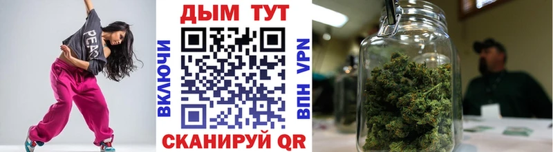 где найти   Мыски  Бошки марихуана индика 